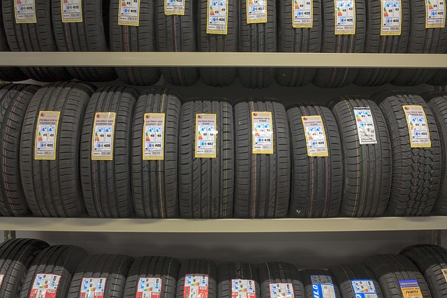 The Differences Between Summer, Winter, All-Season, and All-Weather Tires – Which One Do You Need?